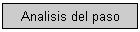 Analisis del paso