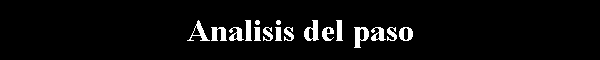 Analisis del paso