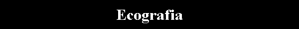 Ecografia