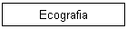 Ecografia